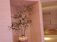 -舒小悦·舒养SPA·古法推拿(光环中心店)