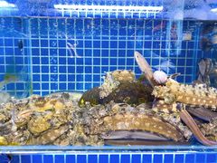 -必点海鲜·鲅鱼水饺(鞍山西道店)