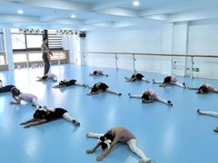 -西安小天鹅艺术团(曲江Alice店)