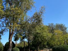 -永定河休闲森林公园