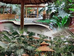 -陆地游轮吉林神农温泉