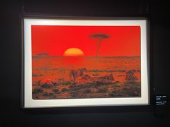 -罗红摄影艺术馆