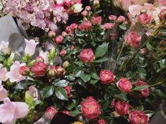 -双季花艺园艺市场(浦东店)