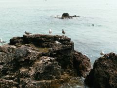 -海驴岛(荣成市)