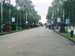-万绿园