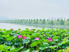 -云幽谷旅游区