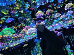 -天津梵高星空艺术馆(天河城旗舰店)
