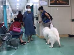 -北京观赏动物医院·24小时大型综合·猫专科·异宠专科