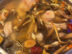 -千岛蚝高压锅生蚝·人参火锅(白云万达店)