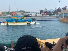 -秦皇岛乐岛海洋王国