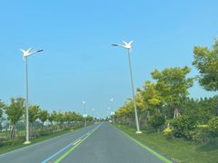 -盐城丹顶鹤湿地生态旅游区