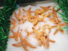 -鼎级香· 火锅烤肉自助丨涮烤一体(蜀山唯品会店)