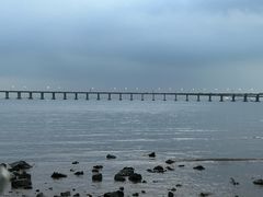 -宝安西湾红树林湿地公园