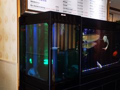 -长赢养生(平度店)