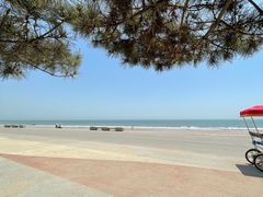 -日照海滨国家森林公园