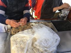 -叶氏麻糍(鼓浪屿店)