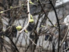 -东方之珠洗浴休闲广场(和平店)