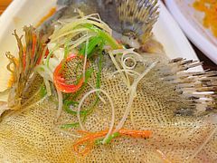 清蒸石斑鱼-南海渔家•海鲜•正宗海南菜(海棠湾店)