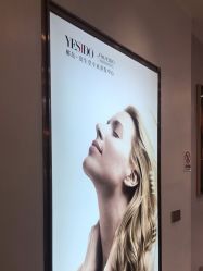 -YESIDO椰岛造型