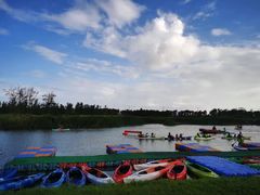 -春花秋色城市公园