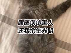 -美联众合动物医院·24h京西诊疗中心