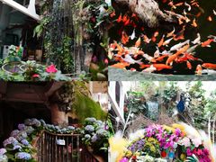 -正佳雨林生态植物园