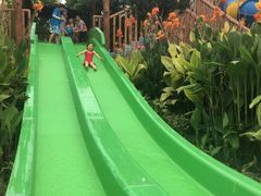 -苏州乐园森林水世界