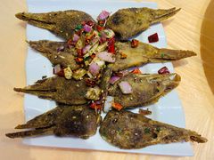 -怪怪龙虾·澳洲蓝龙王·深夜食堂(惊驾路店)