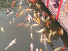 -东部华侨城