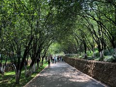 -昆明动物园