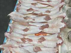 生上鱼肚笼-章记正宗南岗鱼蛋火锅