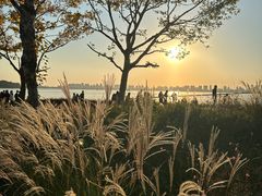 -金鸡湖游船(月光码头)