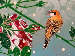 -上海宝龙美术馆