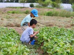 -前小桔亲子创意农场·草莓采摘·露营烧烤