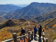 -大岭沟猕猴桃谷风景区