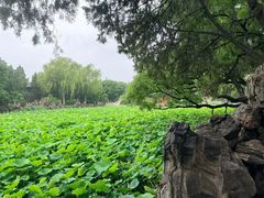 -莲池书院博物馆