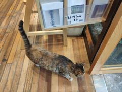 -猫的天空之城概念书店(杭州南宋御街店)