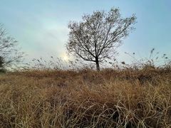 -汉长安城未央宫国家考古遗址公园