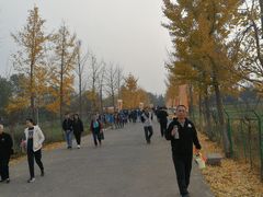 -汉景帝阳陵博物院
