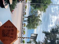 -野菌皇海景野生菌火锅(滨海大道店)