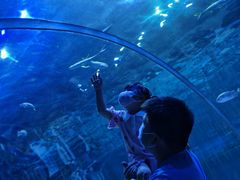 -华夏文旅西安度假区