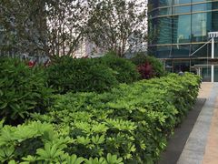 -皇庭V酒店康体中心VFITNESS健身游泳池馆