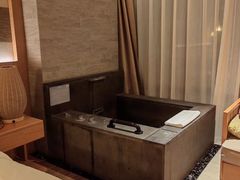-宜春明月山维景国际温泉度假酒店
