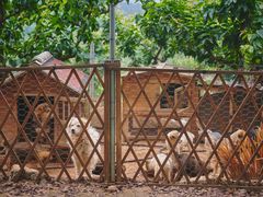 -竹上云想餐厅民宿