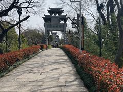 -黄鹤楼
