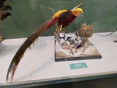 -国家自然博物馆