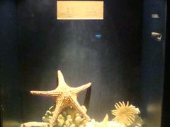 -亚龙湾中心广场·贝壳馆