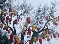 -千佛山风景名胜区