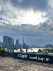 -上海首尔丽格医疗美容医院