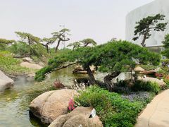 -罗红摄影艺术馆